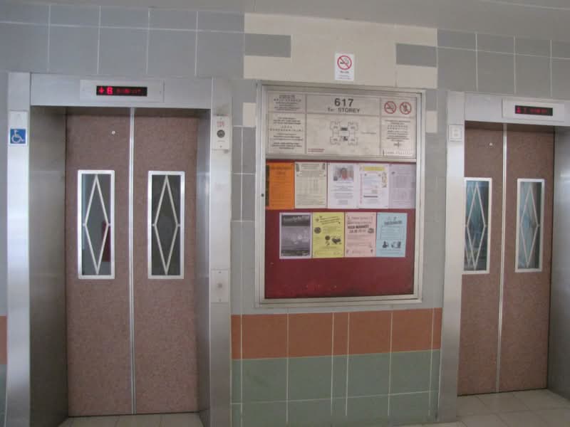 617 Bukit Panjang Ring Road