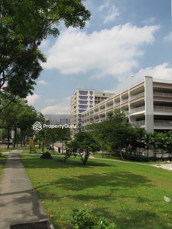 234A Bukit Panjang Ring Road #0