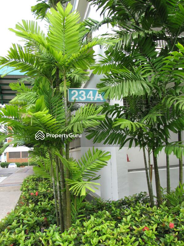 234A Bukit Panjang Ring Road #0