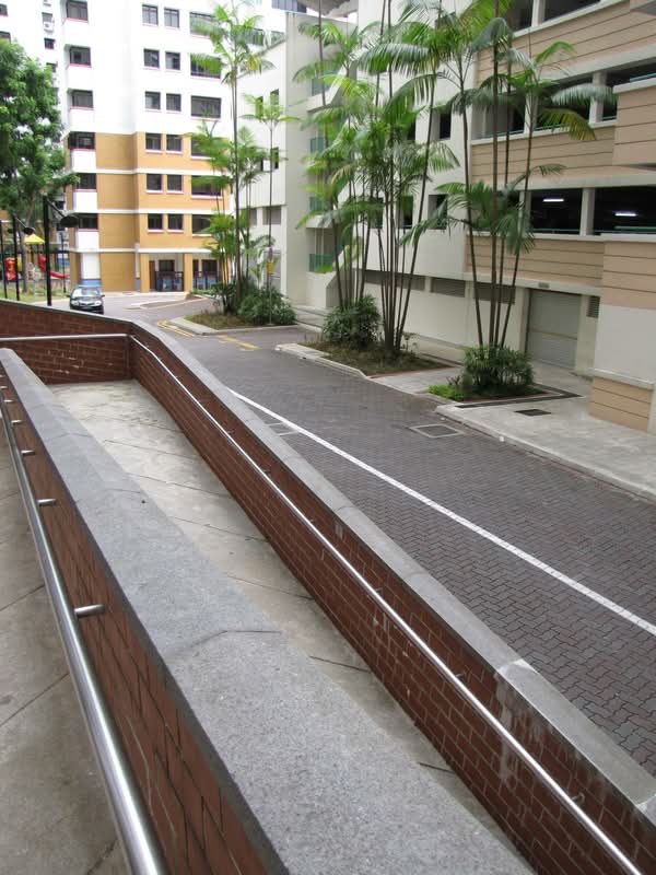 541A Bukit Panjang Ring Road #0