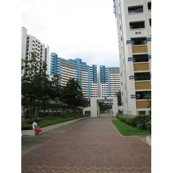 613A Bukit Panjang Ring Road