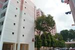 106 Bukit Purmei Road #0