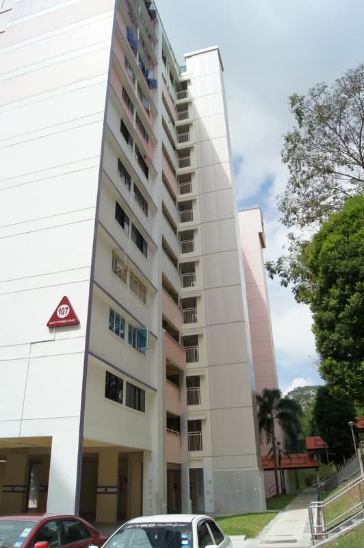 107 Bukit Purmei Road
