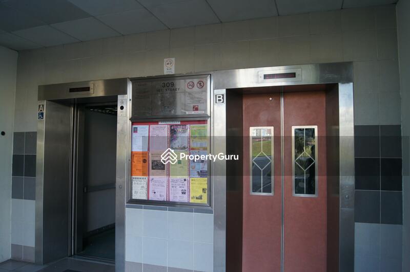 309 Canberra Road #0