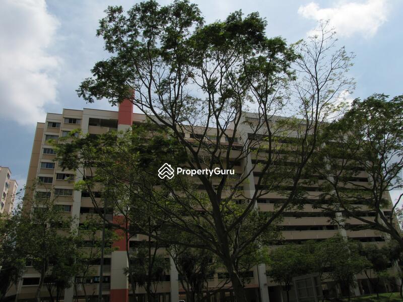 For Rent - 131 Cashew Road