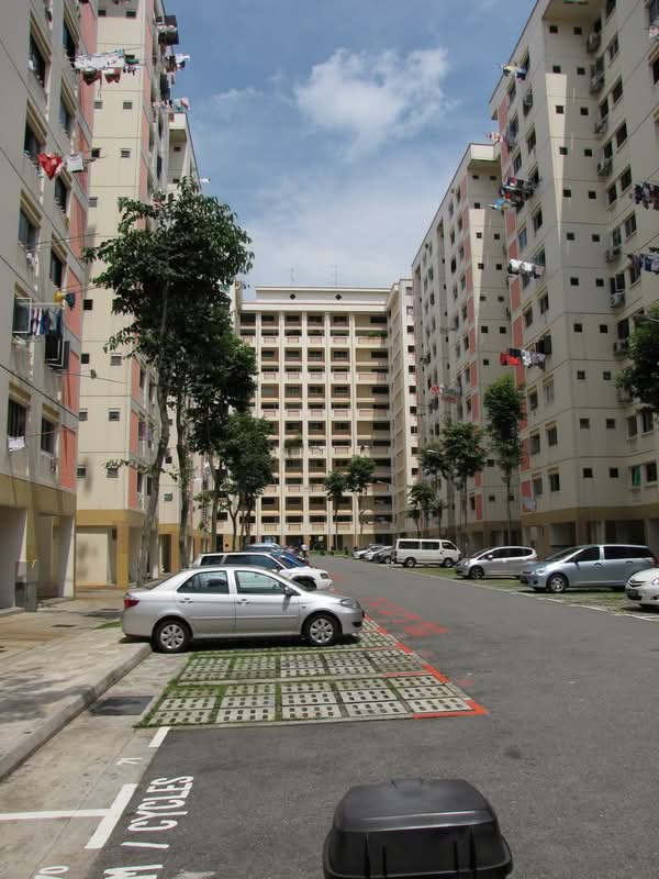 131 Cashew Road