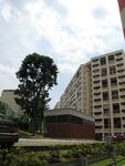 133 Cashew Road #0