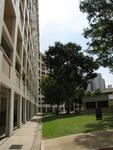 133 Cashew Road #0