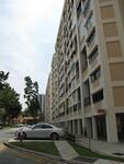 133 Cashew Road #0