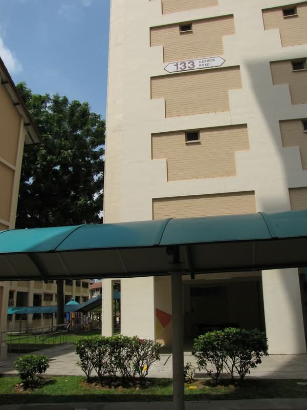 133 Cashew Road