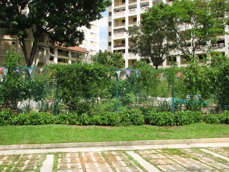133 Cashew Road