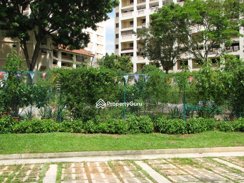For Rent - 133 Cashew Road