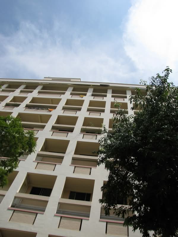 135 Cashew Road