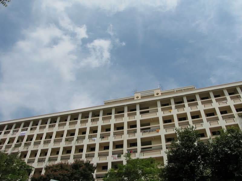 135 Cashew Road