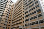 248 Choa Chu Kang Avenue 2 #0