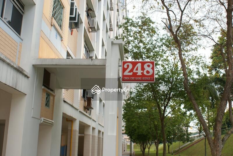 248 Choa Chu Kang Avenue 2 #0