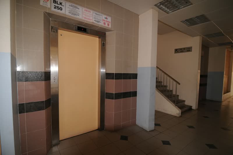 250 Choa Chu Kang Avenue 2