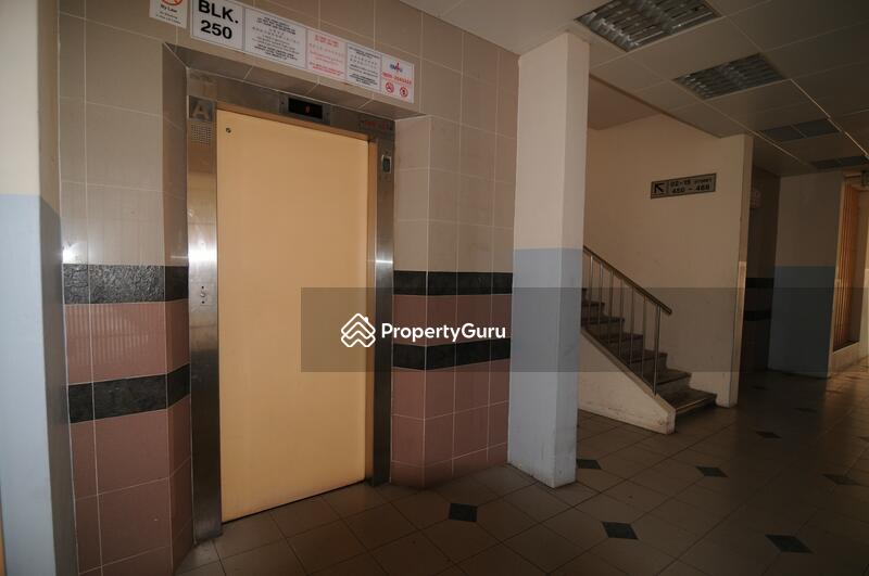 For Sale - 250 Choa Chu Kang Avenue 2
