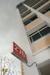 276 Choa Chu Kang Avenue 2 #0
