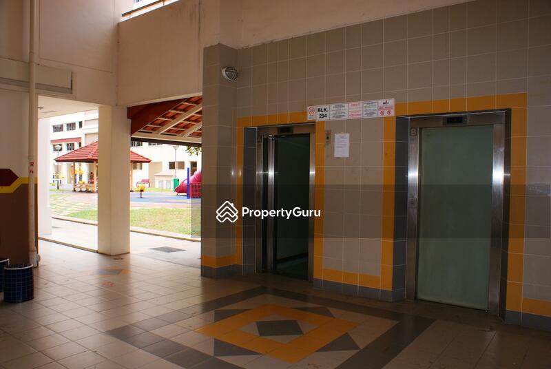 294 Choa Chu Kang Avenue 2 #0