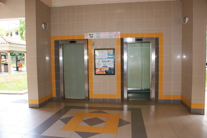 295 Choa Chu Kang Avenue 2