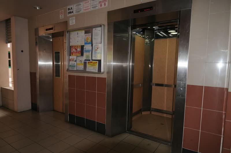 296A Choa Chu Kang Avenue 2
