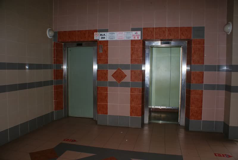 281 Choa Chu Kang Avenue 3