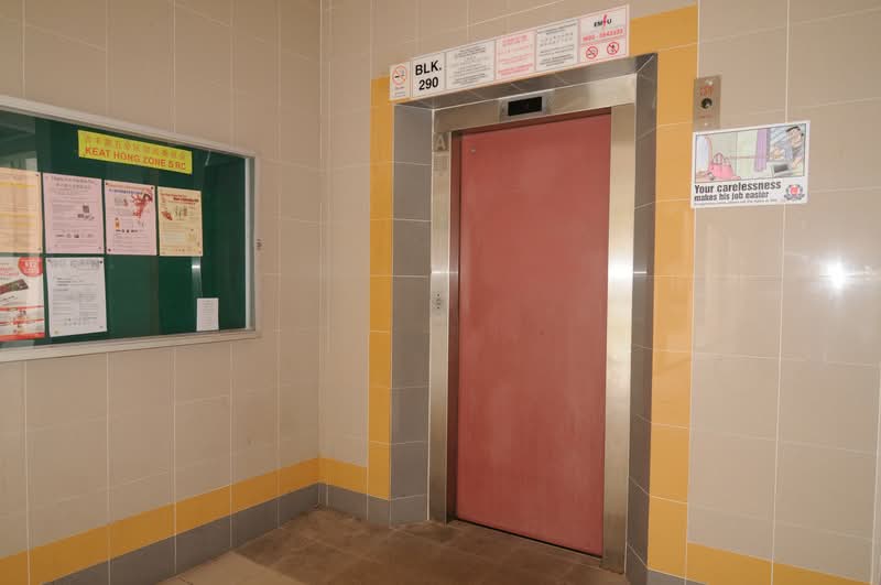 290 Choa Chu Kang Avenue 3