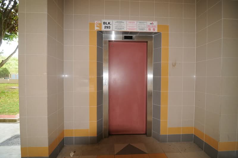 293 Choa Chu Kang Avenue 3