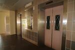 484 Choa Chu Kang Avenue 5 #0