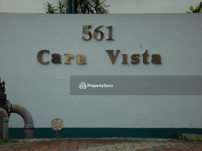 Cara Vista #0