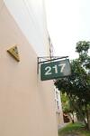 217 Choa Chu Kang Central #0