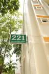 221 Choa Chu Kang Central #0