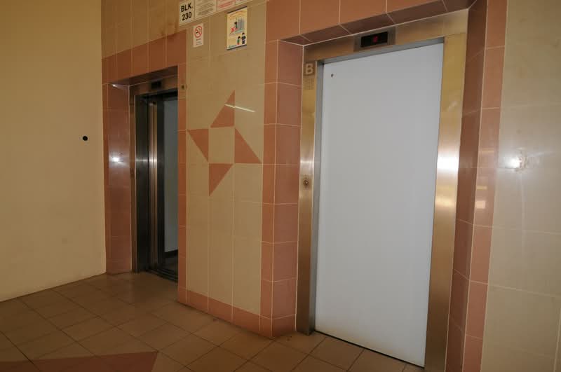 230 Choa Chu Kang Central