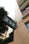 232 Choa Chu Kang Central #0