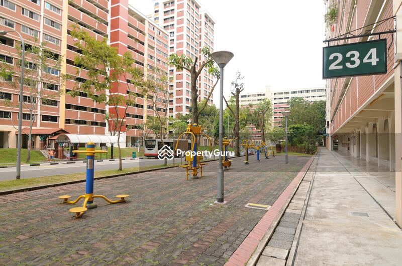 234 Choa Chu Kang Central #0