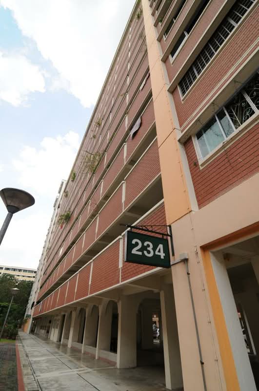 234 Choa Chu Kang Central