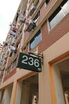 236 Choa Chu Kang Central #0