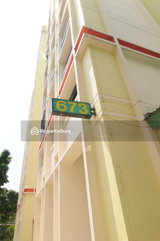 673 Choa Chu Kang Crescent #0