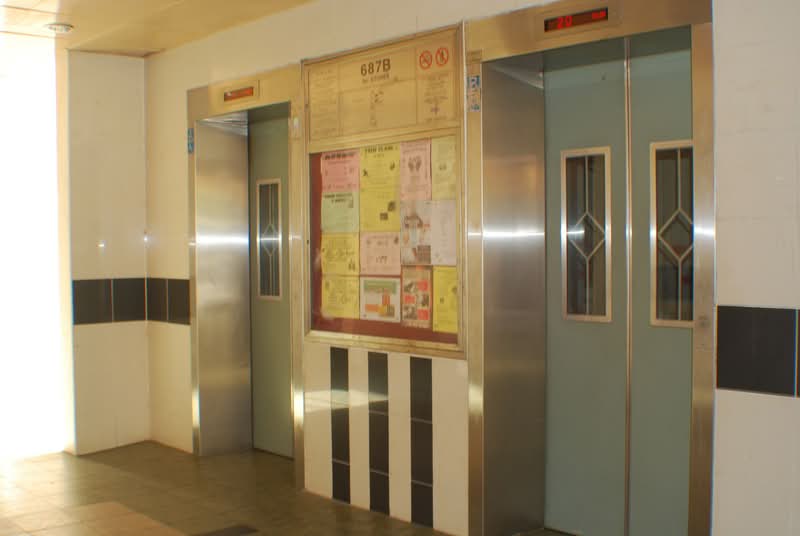 687B Choa Chu Kang Drive