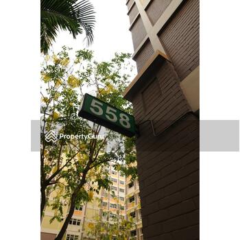 558 Choa Chu Kang North 6