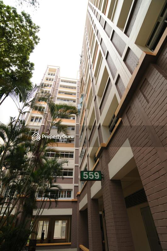559 Choa Chu Kang North 6 #0