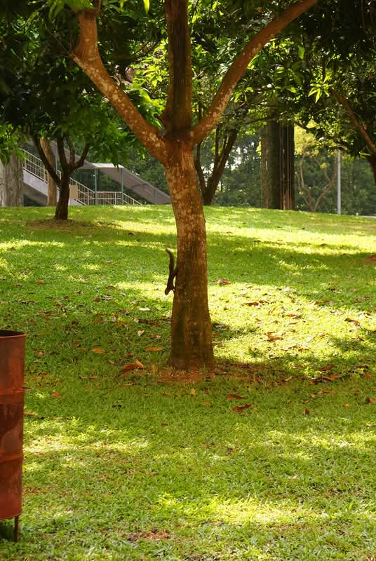 510 Choa Chu Kang Street 51