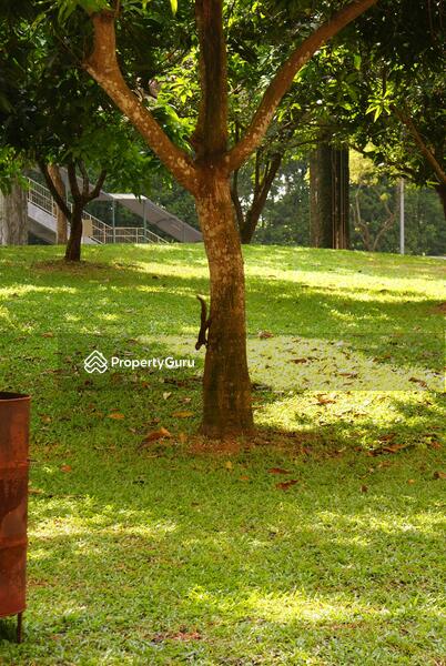 For Rent - 510 Choa Chu Kang Street 51