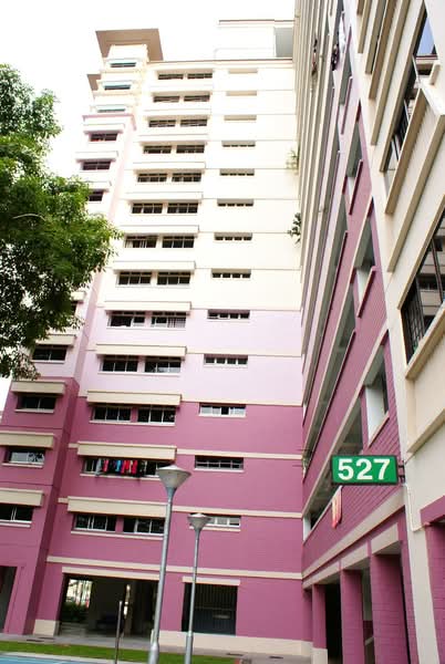 For Sale - 527 Choa Chu Kang Street 51