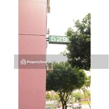 529 Choa Chu Kang Street 51