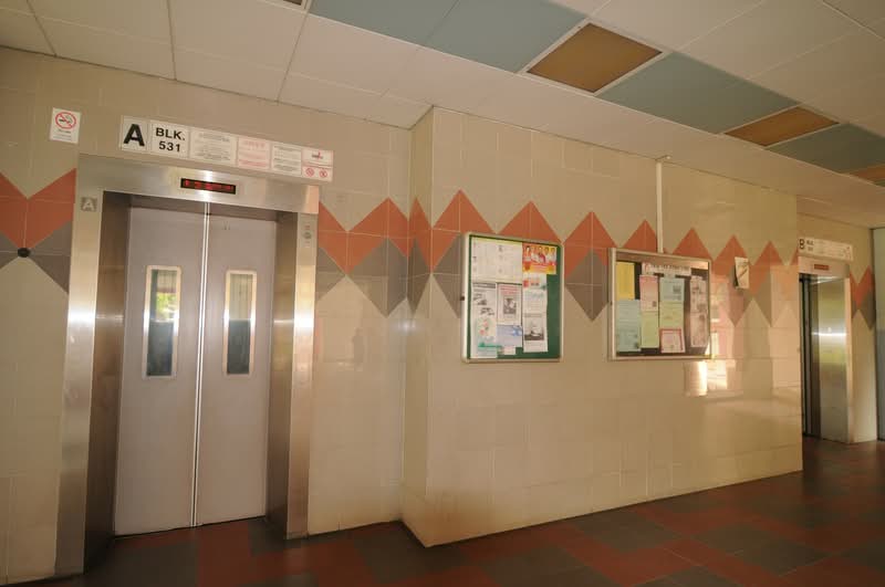 531 Choa Chu Kang Street 51