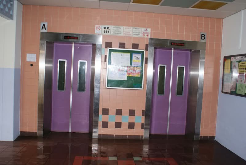 541 Choa Chu Kang Street 52