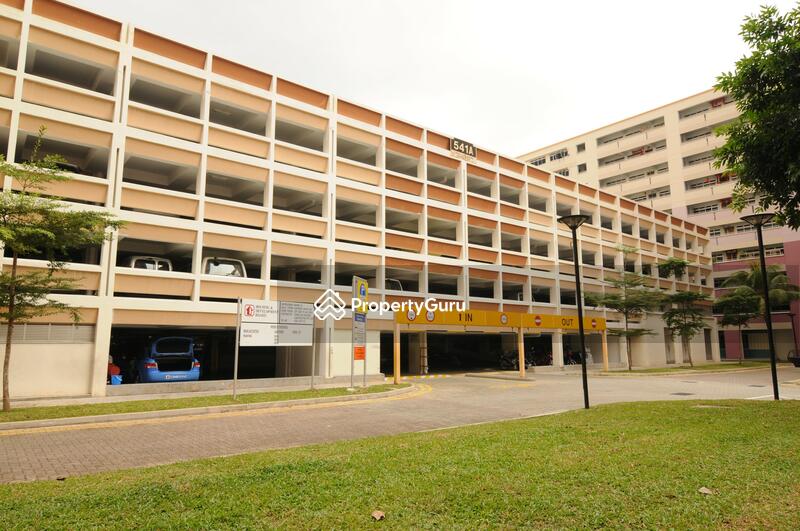 For Rent - 542 Choa Chu Kang Street 52