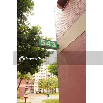 543 Choa Chu Kang Street 52